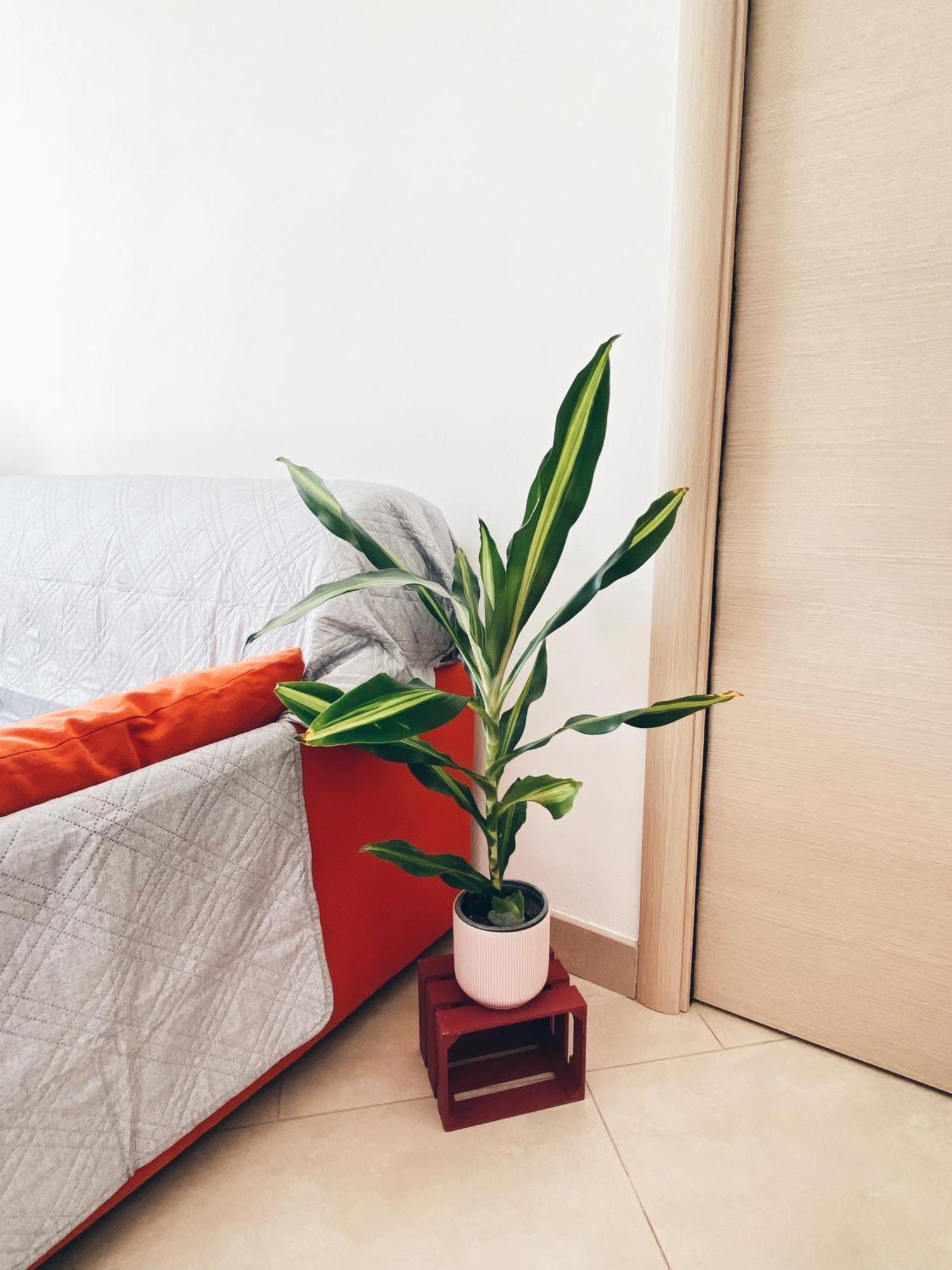 Apartment In Siena With Private Parking ภายนอก รูปภาพ